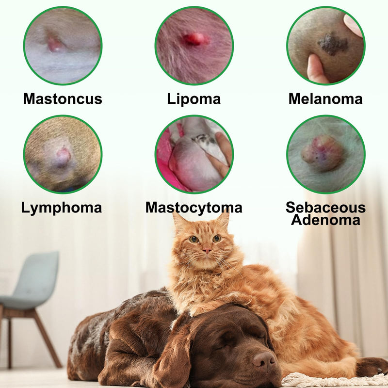 Buddy Guard for Dogs Lumps and Bumps 2 fl.oz, Lipoma Treatment for Dogs Cats, Soften Fatty Lumps & Bumps in Dogs, Castor Oil for Dogs, Mushroom Supplements Lipoma Reduction, Immune Support - PawsPlanet Australia