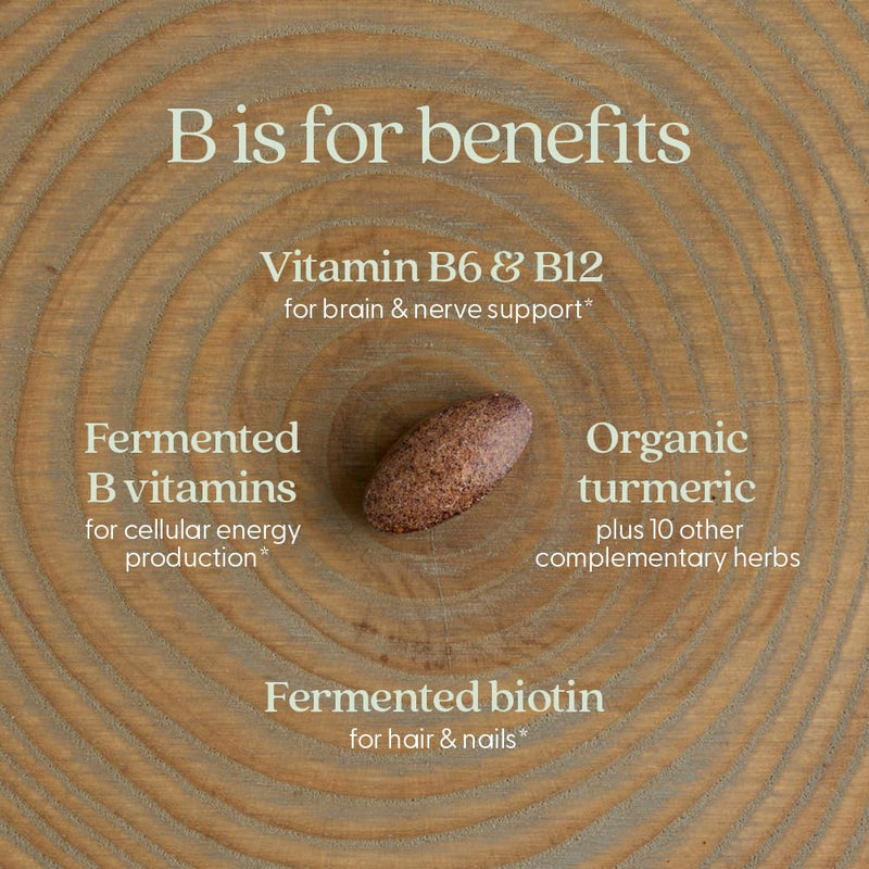 New Chapter Fermented Coenzyme B Complex, 30 Count | Rich in Vitamin B12, Vitamin B6, and Biotin with Organic Ingredients for Energy, Brain, and Beauty Support, One Daily 30 Count (Pack of 1)