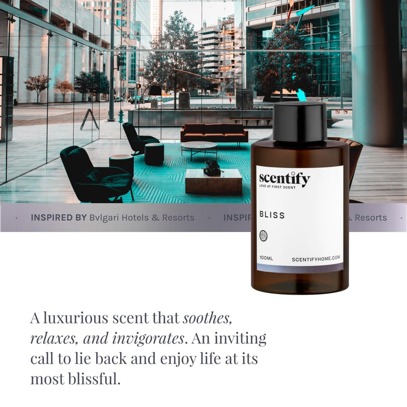 [Australia] - Scentify Bliss Aroma Oil Refill Scent for Oil Diffusers - Eucalyptus, Bergamot, Tea & Powdery Scents - Luxurious Relaxing Aromatherapy Diffuser Fragrance 100ml, 3.38 oz 3.38 Fl Oz (Pack of 1) 
