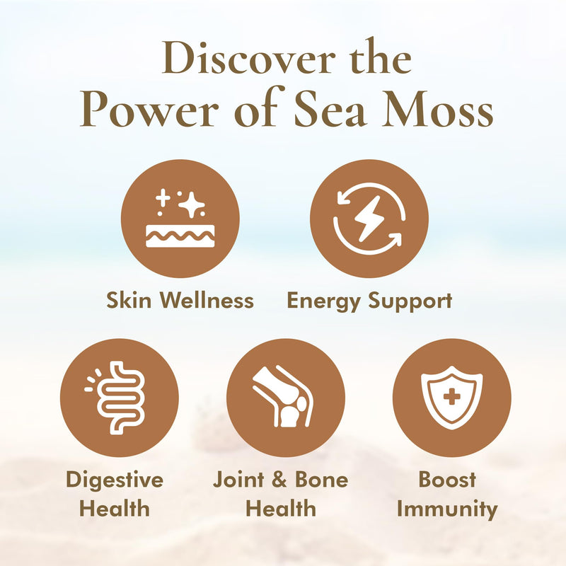 HalalEveryDay Wildcrafted Irish Sea Moss - 1lb Bag- 100% Pure All Natural | Vitamin & Mineral Rich | No Preservatives | Golden | 16 oz 16 Ounce (Pack of 1)