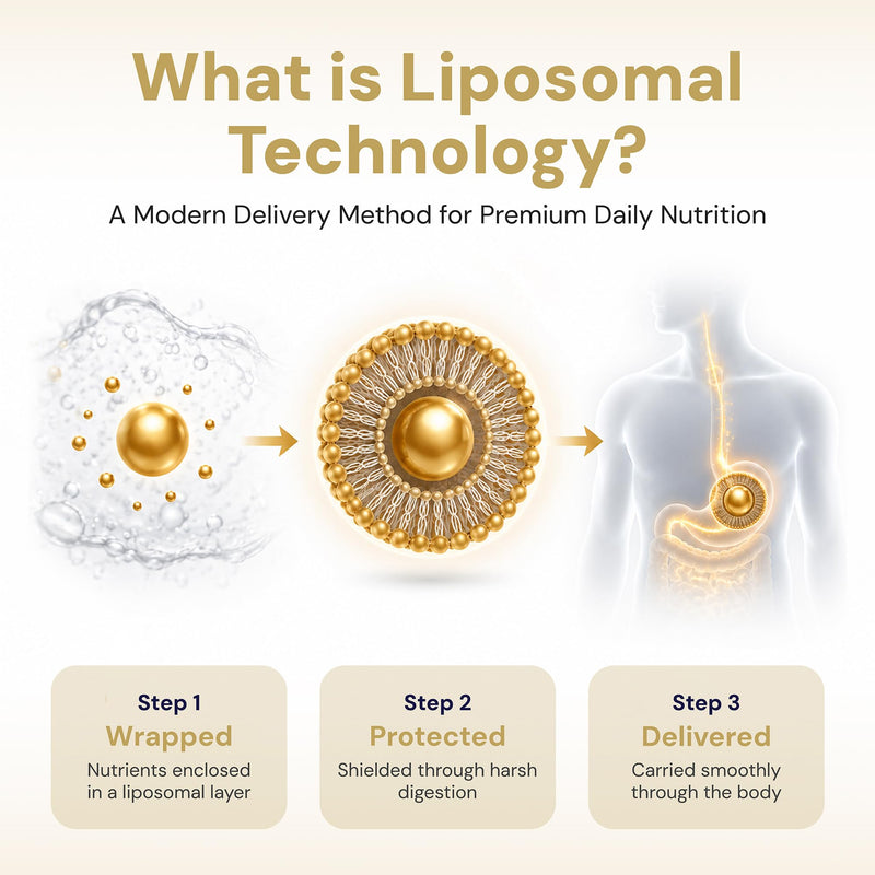 Liposomal Multivitamin for Men & Women – High Absorption Daily Vitamins & Minerals Capsules with Immune, Energy & Wellness Support