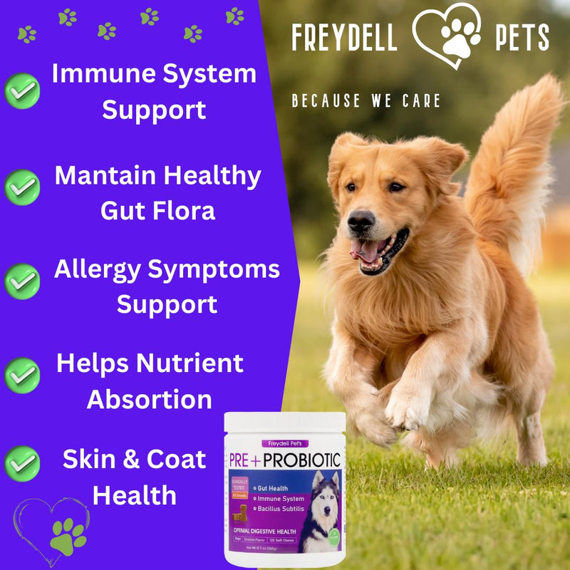 FREYDELL Pets Probiotics for Dogs Dog Upset Stomach Relief Dog probiotic, Fiber Supplement for Dogs, Yeast Infection Treatment for Dogs & Dog Diarrhea Medication, Probiotic for Dogs of All Ages. - PawsPlanet Australia