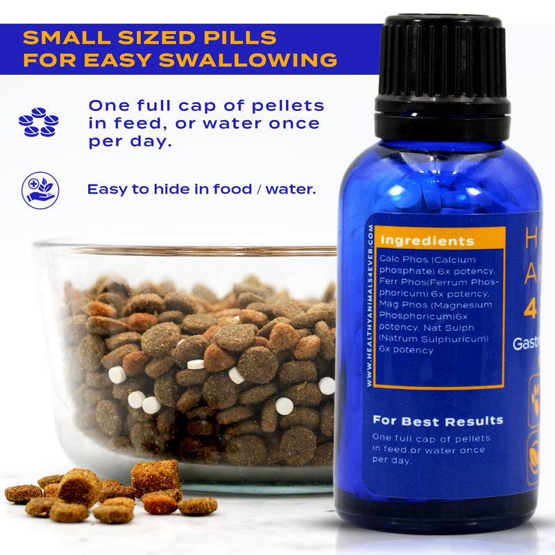 Healthy Animals 4Ever All-Natural Rabbit Gastrointestinal Stasis Treatment | Effective Homeopathic Support for GI Stasis - Promotes Healthy Digestion Rabbit Digestive Health Tablets | 300 Count - PawsPlanet Australia