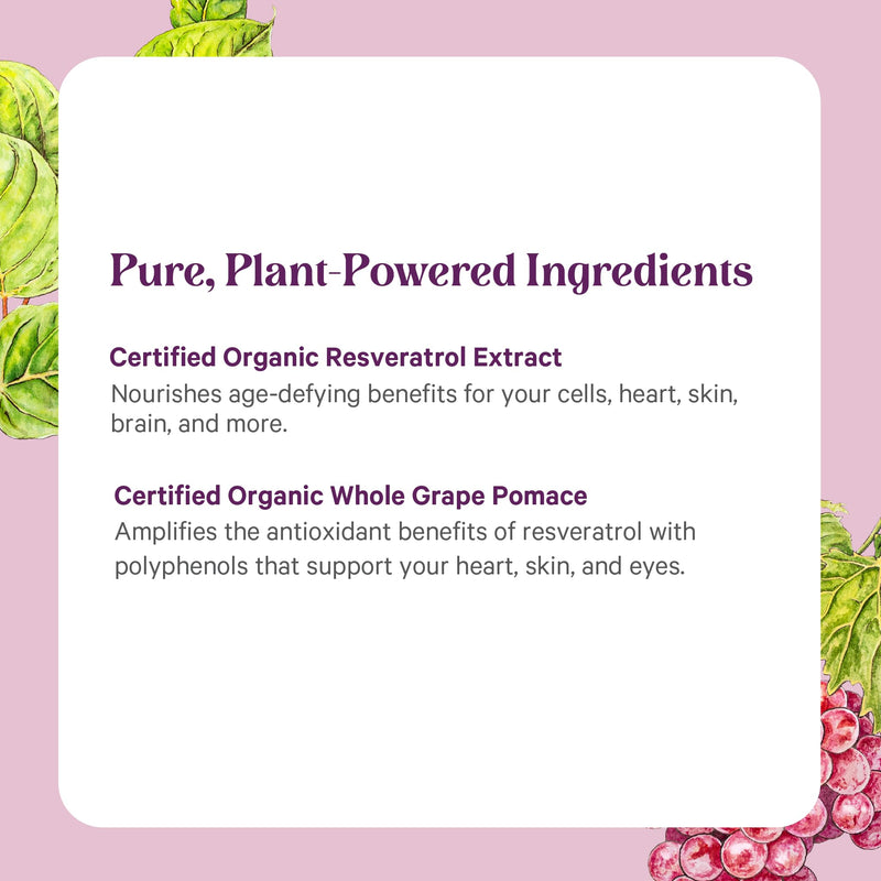 [Australia] - PURE SYNERGY SuperPure Resveratrol Extract | Organic Resveratrol Supplement | Antioxidant Trans-Resveratrol Extract with Grape Polyphenols | for Healthy Aging, Heart, and Skin Health (60 Capsules) 