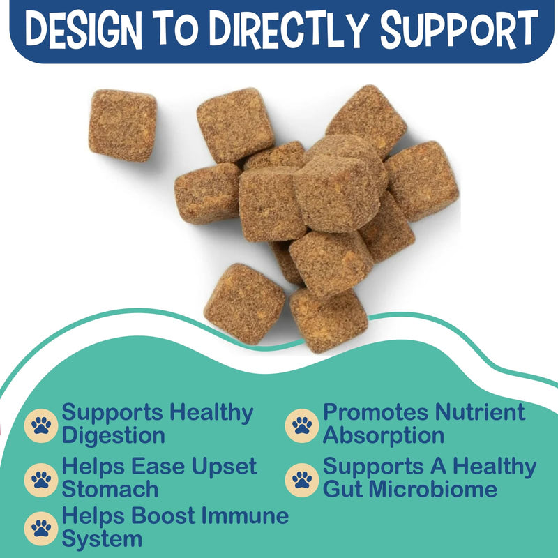 Replenish Probiotic and Digestive Enzyme Chews for Dogs - Dr. Rachel's Daily Canine Probiotics and Dog Digestive Enzymes, Nutrient Absorption Chews - Pet Dietary Balance, Stomach Relief - 60 Count - PawsPlanet Australia
