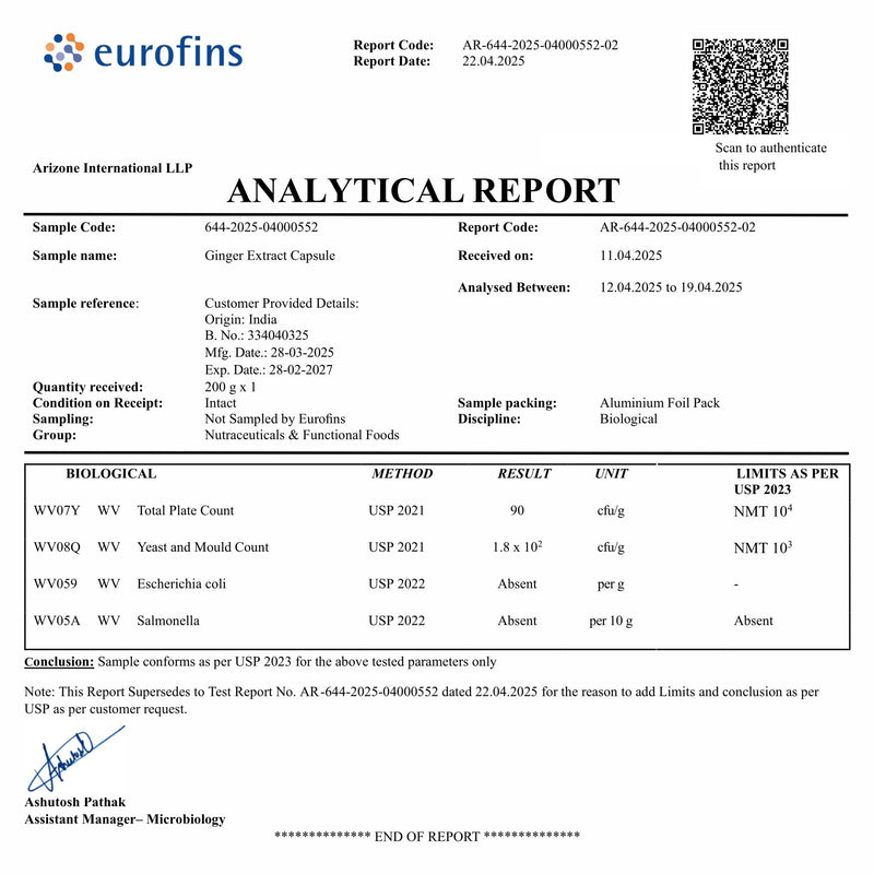 [Australia] - STAY ALIVE Pure Ginger Root Capsules 1000mg, 10:1 Extract Powder with 5% Gingerols, 120 Pills, Extra Strength Root Powder, Vegan, Non-GMO and Gluten-Free Ginger Supplement 