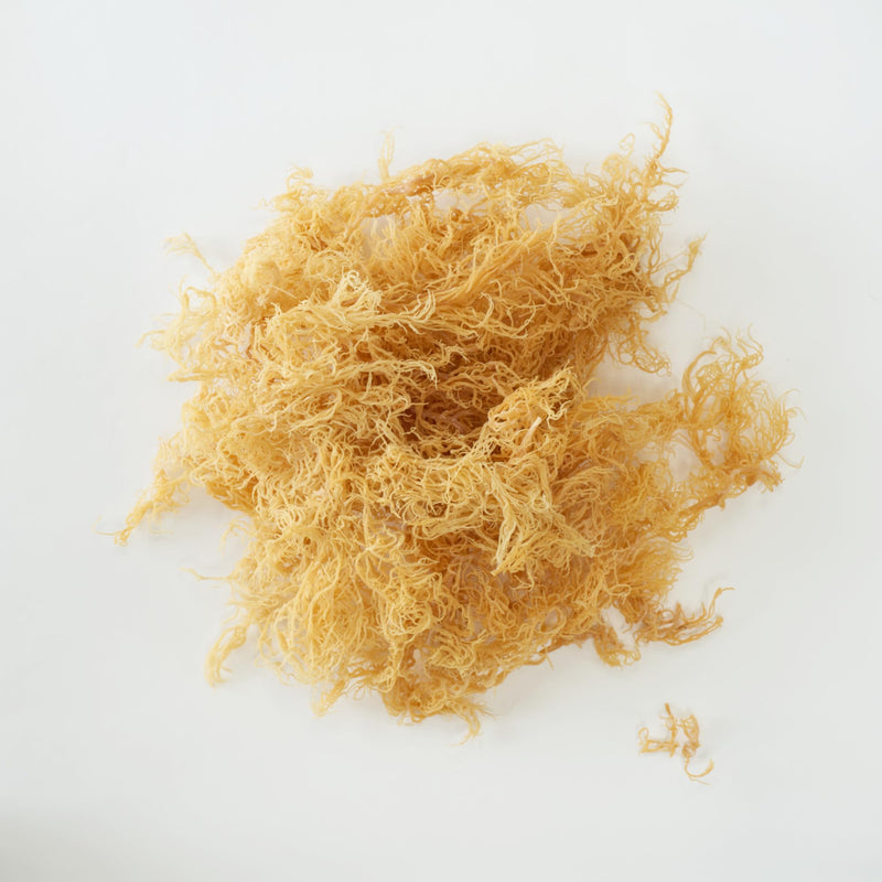 Raw Dried Sea Moss 100g | Pure Sea Moss Organic-Vegan, for Homemade Sea Moss Gel