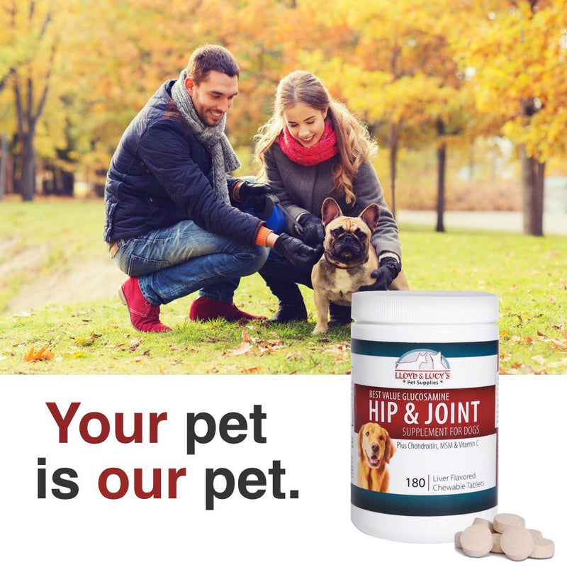 Lloyd & Lucy's Hip and Joint Supplement for Dogs - Chewable Multivitamin with Glucosamine, Chondroitin, MSM and Vitamin C - Healthy Liver Flavored Treat Pets Will Love - 180 Ct Tablets 180 Chewable Tablets - PawsPlanet Australia