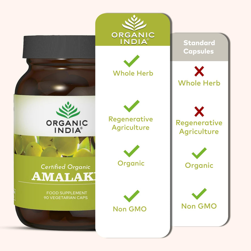 Organic India Amalaki - Organic Amalaki (Amla) Indian Gooseberry Fruit - Supports Immune Health, Vitality & Antioxidant Balance - Supplements for Men & Women - Vegan & Additive Free - 90 Capsules