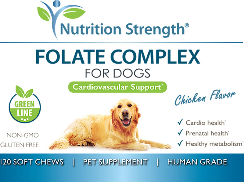 Folate for Dogs to Promote Cardiovascular & Prenatal Health, Support DNA Synthesis & Cell Maintenance, Folic Acid for Dogs with Zinc, Biotin, Iron & Vitamin B12, 120 Soft Chews - PawsPlanet Australia
