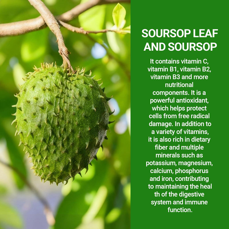 10-in-1 Soursop Bitters Liquid Drops, with Sea Moss, Moringa, Turmeric, Black Seed Oil, Oregano, Ashwagandha | Herbal Extracts for Overall Health-Enhancing | Vegan, Non-GMO | 60ml