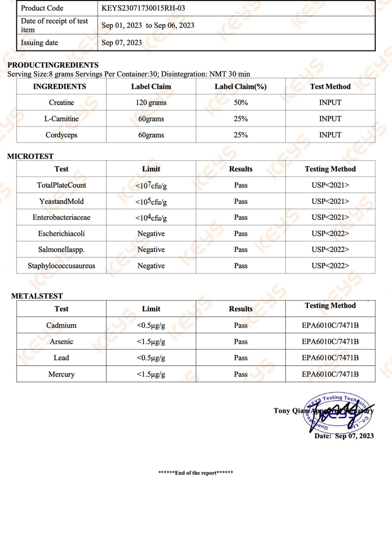 PROFUEL Creatine, L-Carnitine & Cordyceps Powder - 240g - Increase Strength & Performance - Gym Supplement for Men & Women
