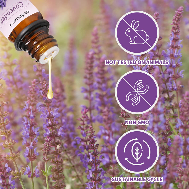 [Australia] - Sedbuwza Lavender Eucalyptus Essential Oil Set, Lavender Fragrance Oil Eucalyptus Scent Oil Set for Diffuser, Aromatherapy, Massage, Soap, Candle Making 2 x 10 ml Lavender + Eucalyptus 0.33 Fl Oz (Pack of 2) 