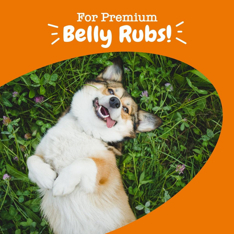 Probiotic Bites Soft Chews, Digestive Probiotics for Gut Flora & Immune Support for Dogs, Pumpkin Flavor 60 Count - PawsPlanet Australia