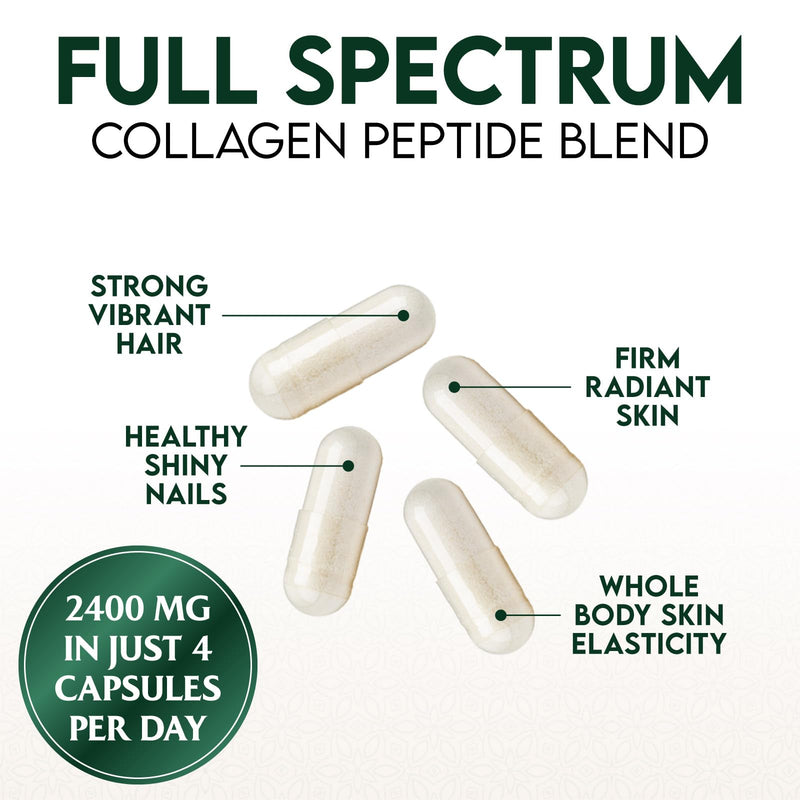 Multi Collagen Pills - Hydrolyzed Collagen Peptides Capsules for Women & Men - Types I, II, III, V, X Multi Collagen Complex - Hair, Skin & Nails Support Supplement - Bottled in the USA - 120 Capsules 120 Count (Pack of 1)