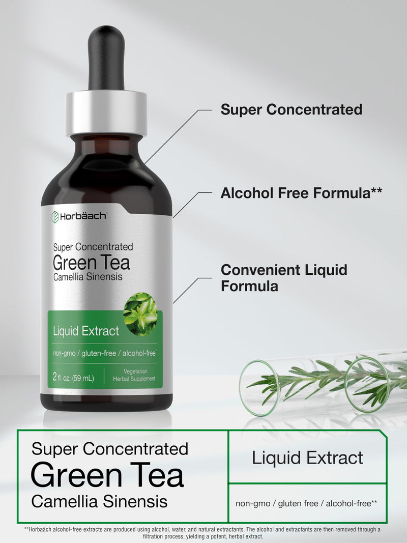 Horbäach Green Tea Extract Liquid | 2 Fl Oz | Alcohol Free, Vegetarian Tincture | Super Concentrated Supplement | Non-GMO, Gluten Free