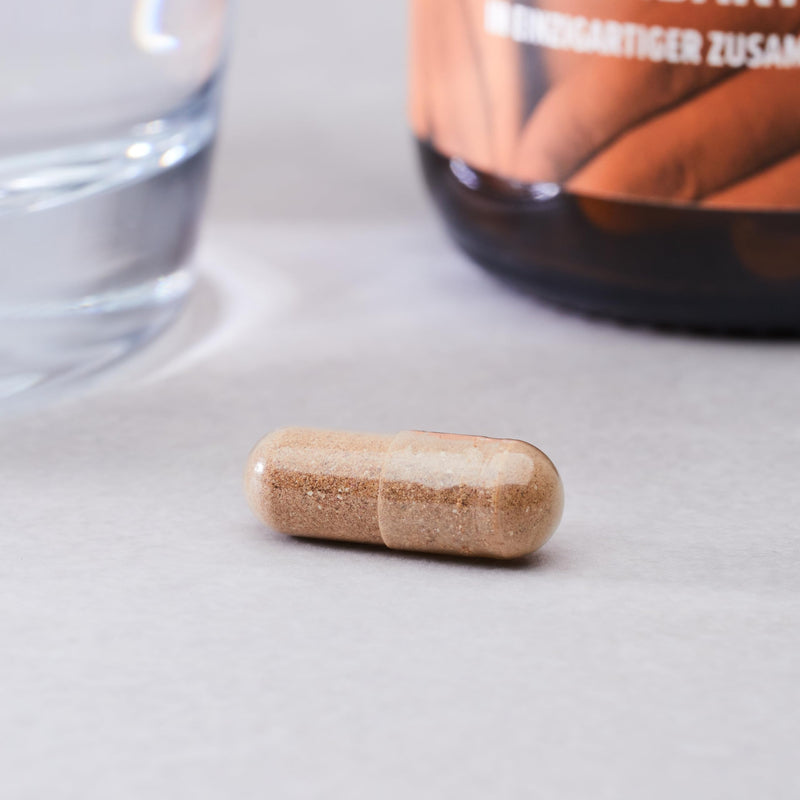 [Australia] - edubily nutrition® intestinal bacteria - probiotics capsules for the intestinal flora with L. plantarum, L. reuteri, S. thermophilus, B. lactis, B. longum, B. infantis & B. adolescentis - without inulin - 90 capsules 