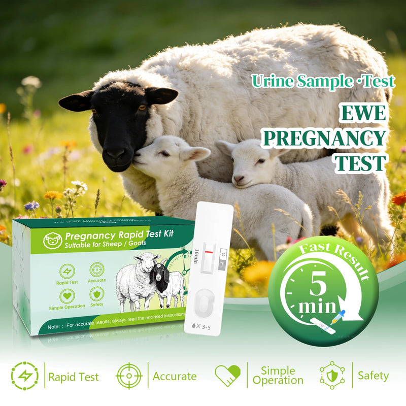 10-Pack Sheep & Goat Early Pregnancy Test - Detect Pregnancy in 5-10 Minutes with Urine, Easy Home Breeding Confirmation Kit for Accurate Livestock Management