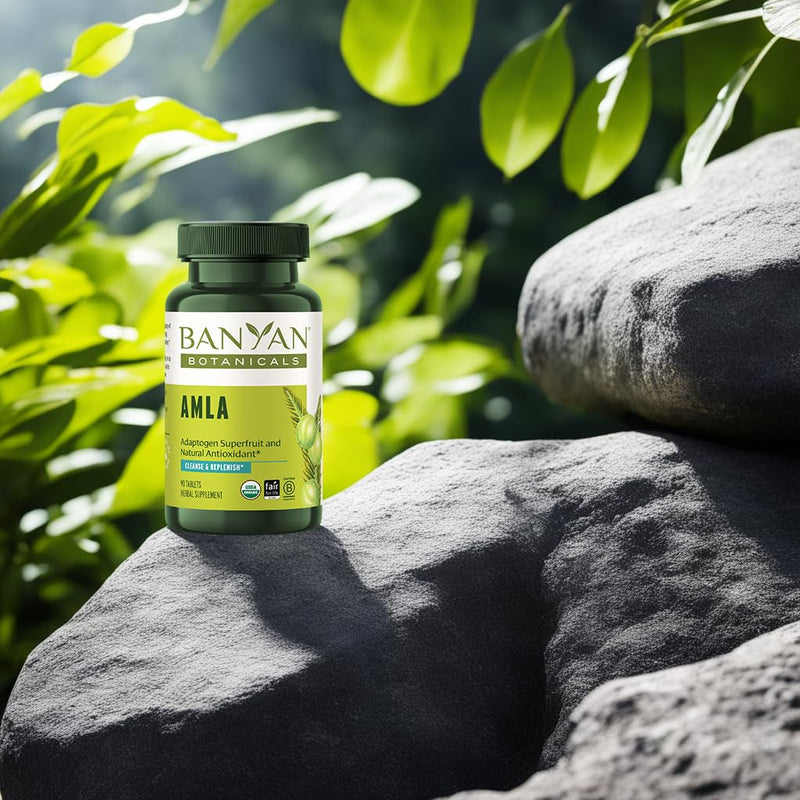 [Australia] - Banyan Botanicals Amla (Amalaki) Tablets – Organic Emblica Officinalis – Natural Source of Vitamin C and Antioxidants – Supports Digestion and Cleansing* – 90 Tablets – Non GMO Sustainably Sourced 