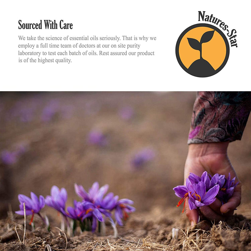 [Australia] - Bulk Size Lavender Essential Oil (16 Ounce Bottle) Therapeutic Grade Essential Oil - 16 Fl Oz - Essential Oils Big Bottle - Essential Oils for Candle Making - Lavender Diffuser Oil 16 Fl Oz (Pack of 1) 