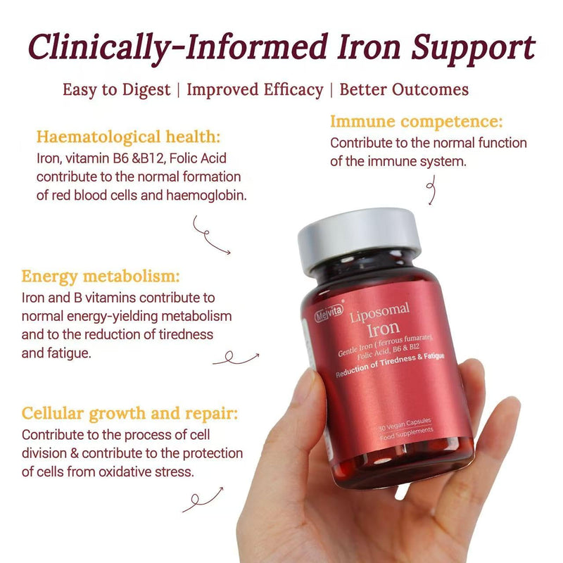 Gentle Liposomal Iron for Women - 17mg - Iron Supplement with Zinc, Folic Acid, B6, B12 & Copper, Fatigue Supplements with High Bioavailability - Vegan Guten Free(30 Capsules, 1 Month Supply)