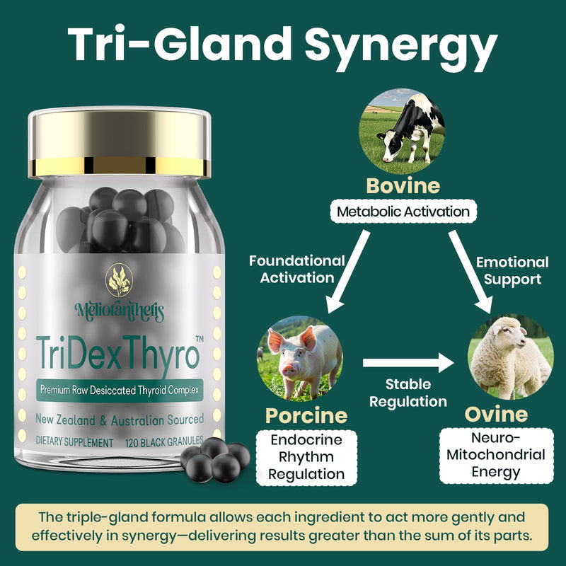 [Australia] - Thyroid Supplement ‚Äì TriDexThyro‚Ñ¢ Raw Desiccated Thyroid Complex 375 mg with Bovine, Porcine & Ovine ‚Äì120 Capsules for Women and MenÔºà1 PackÔºâ 3.37 Ounce (Pack of 1) 