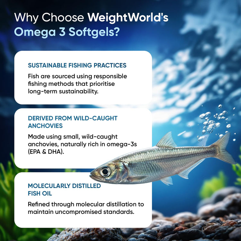 Omega 3 Fish Oil | 400 Softgels (1+ Year Supply) | 1 Softgel a Day | EPA & DHA | Alternative to Cod Liver Oil Capsules | 1000mg Omega 3 Fatty Acids Supplement