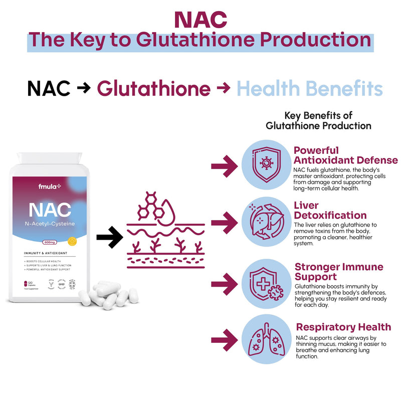 NAC N-Acetyl-Cysteine 600mg | Organic NAC Supplement Capsules for Immunity & Antioxidant Support | N-Acetyl Cysteine Supplement | Amino Acids Immune Support for Adults | Vegan - 120 Capsules