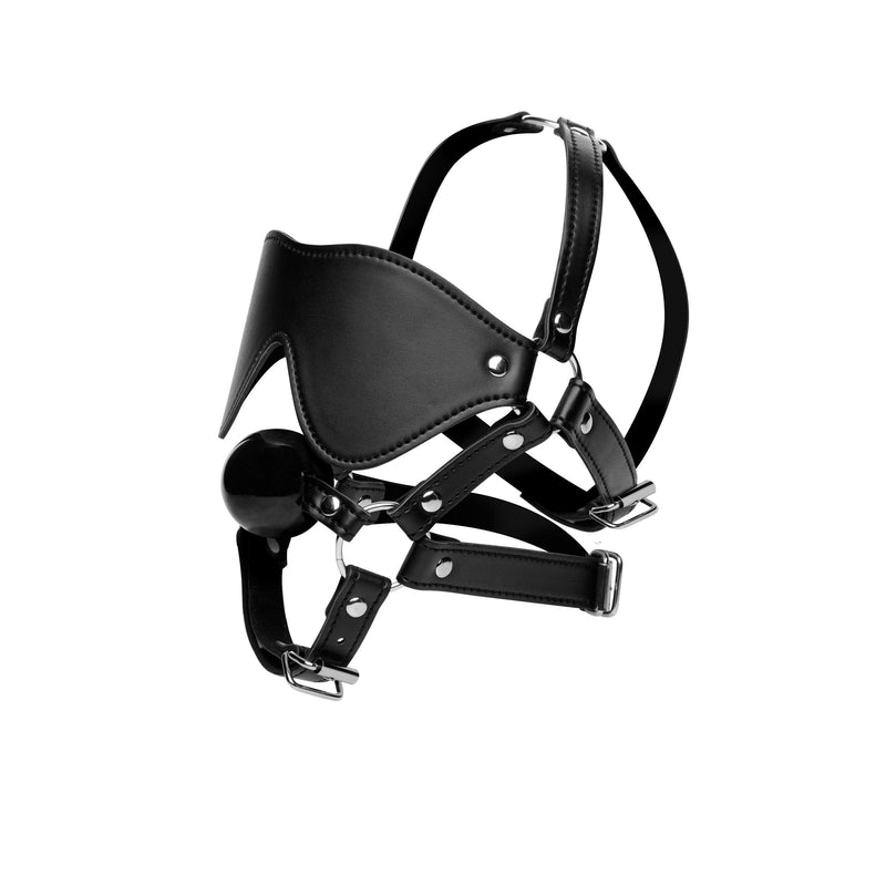 [Australia] - Blindfold Harness and Ball Gag 