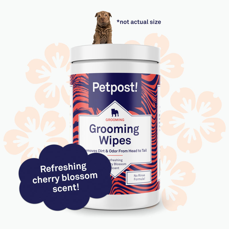 Petpost | Grooming Wipes for Dogs - Large, Deodorizing Wipes with Cherry Blossom Scent - 70 Ultra Soft Cotton Pads in Cleansing Solution - Cherry Blossom Scent 70 ct. - PawsPlanet Australia
