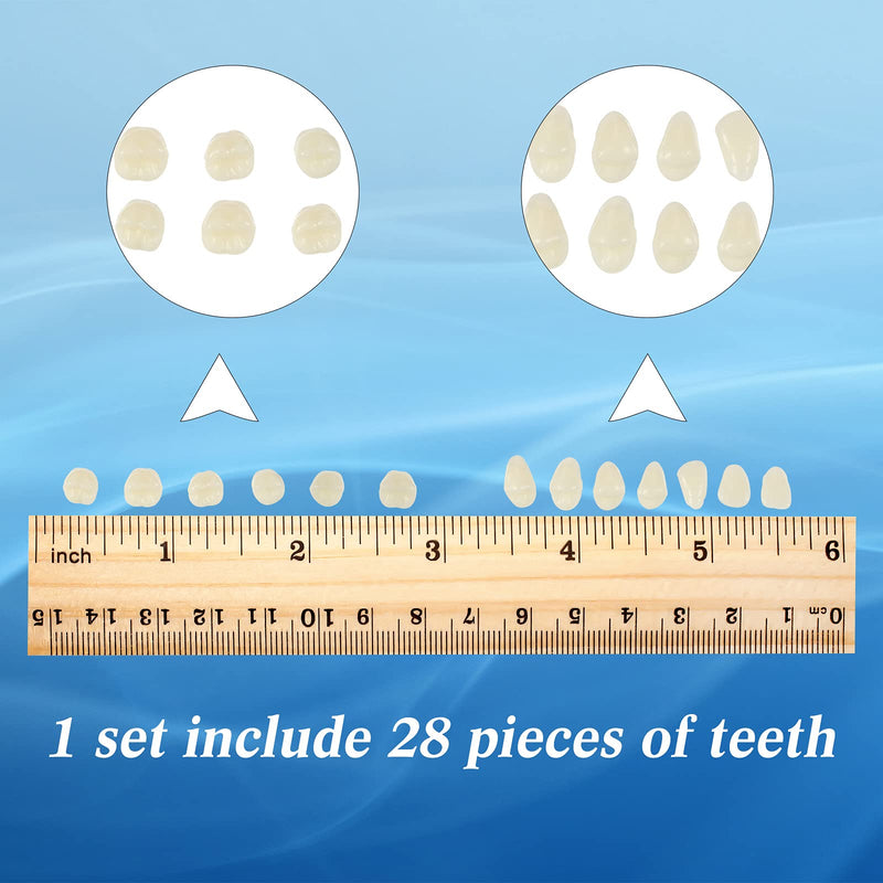 [Australia] - BBTO 6 Sets Acrylic Resin Fake Teeth artificial teeth Denture Replacement tooth prop Synthetic Resin Denture for Replacement, 112 Pieces, 23 A2 