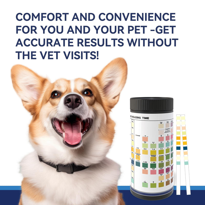 [Australia] - Cat & Dog Urine Test Strips 10-Parameter 100ct, Diabetes Testing, Blood Ketone Testing UTI Test Kit, Glucose, Nitrite, Specific Gravity, pH, Protein, Leukocycles & More.1 Pack 1 Count (Pack of 100) 