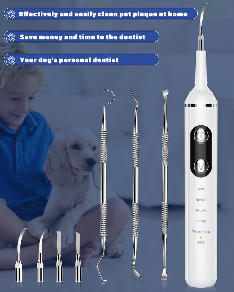 [Australia] - Plaque Remover for Teeth, Pet Tooth Brushing Kit, Dental Tools to Remove Plaque and Tartar, Safe for Dog and Cat, with LED Light, White 