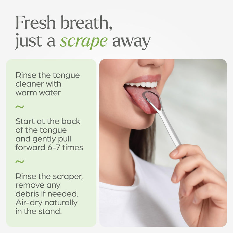 [Australia] - Tongue Scraper for Adults with Holder (2 Pack) - Metal Tongue Scraper for Tongue Cleaning and Reducing Bad Breath - Stainless Steel Tongue Scraper for Adults, Tongue Cleaner for Adults 