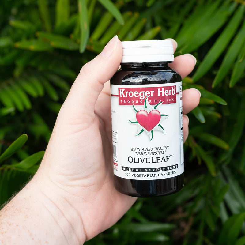 [Australia] - Kroeger Herbs, Olive Leaf Extract Capsules for Immune System, Olive Leaf & Yarrow Supplement, Vegetarian, Non-GMO, Gluten Free, No Preservatives - 100 Capsules, Made in USA 