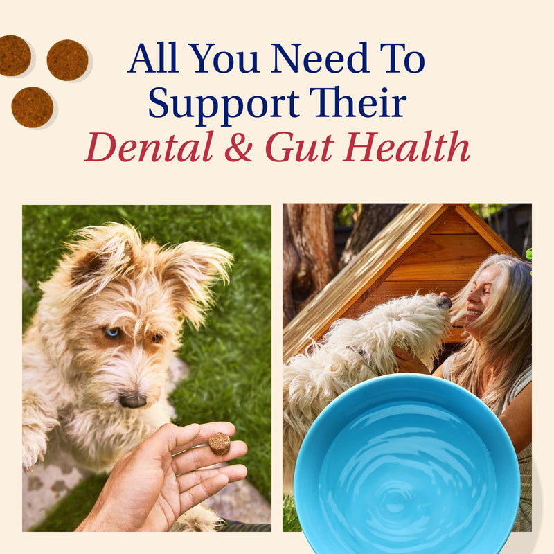 PetLab Co. – Dog Teeth Cleaning & Gut Health Bundle: Dog Dental Formula for Fresh Breath, Healthy Teeth & Gums & Dog Probiotics for Gut Health, Seasonal Allergies, Skin & Ear Yeast - PawsPlanet Australia