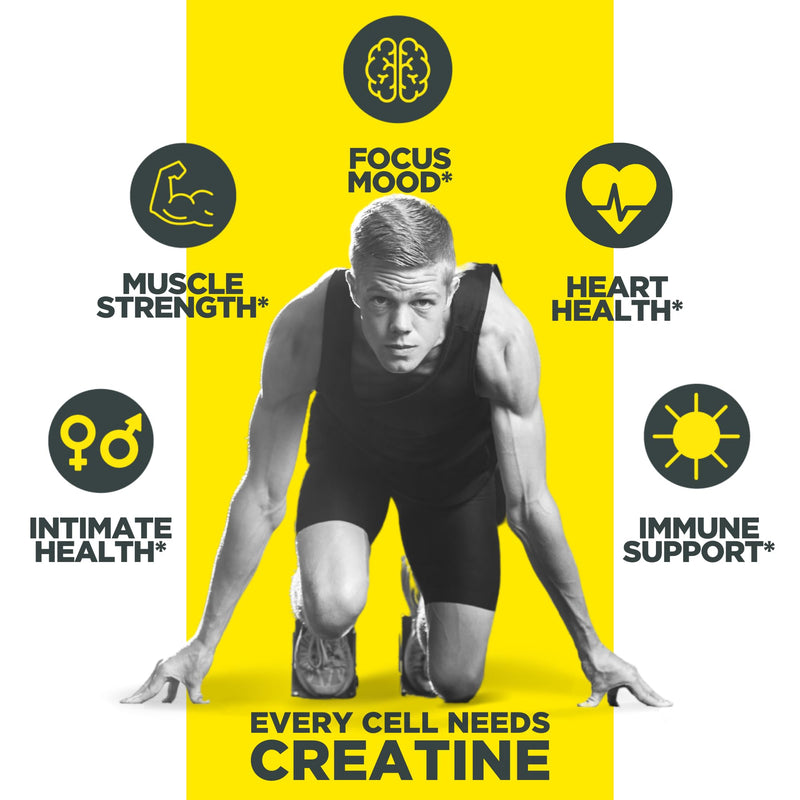 [Australia] - Creatine HCl Powder | Supports Muscle, Cognitive, and Immune Health | Unflavored Creatine (64 Servings) Raw Unflavored 64 Servings (Pack of 1) 