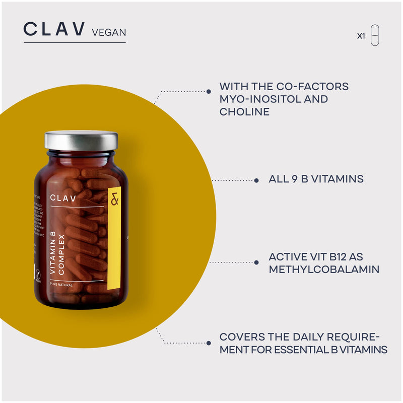 Vitamin B Complex Vegan | High Strength - All 8 B Vitamins + Co-Factors | 120 Capsules for 120 Days | VIT B1, B2, B3, B5, B6, B12, Biotin & Folic Acid + Myo-Inositol + Choline