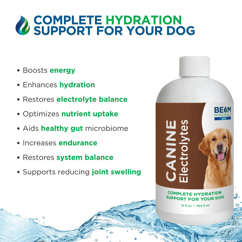 Beam Minerals Complete Canine Electrolytes | Full-Spectrum Electrolytes for Dogs | 12 Fl Oz - PawsPlanet Australia