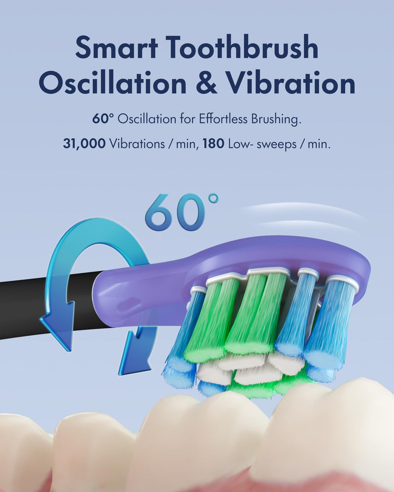 Oscillation & Vibration Sonic Electric Toothbrush for Adults with 4 Dupont Bristles Brush Head, IPX7 Waterproof, USB Rechargeabl, Travel Powered (ABS Black)