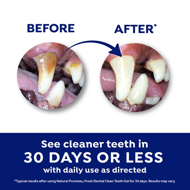 [Australia] - Fresh Dental Dog Toothpaste for Teeth Cleaning, Dog Breath Freshener, Easy Plaque & Tartar Remover Gel, No Toothbrush Needed, Effortless Dental Care, Minty Flavored Toothpaste, Made in USA, 4oz. Mint 