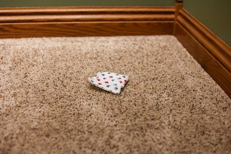 Dog Marking Prevention - Indoor -Permanent - Effective - Stops Dogs from Marking or Peeing -eliminates a Dog's urge to Mark - Put Bag Down and Your Problem is Solved! (Blue(Bones,Paws)) - PawsPlanet Australia