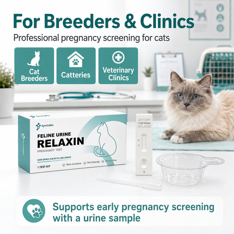 Cat Pregnancy Test Kit at Home, Urine-Based Feline Pregnancy Test, 98.8% Accurate, 10-Minute Results, Painless & Easy to Use (1 PCS)