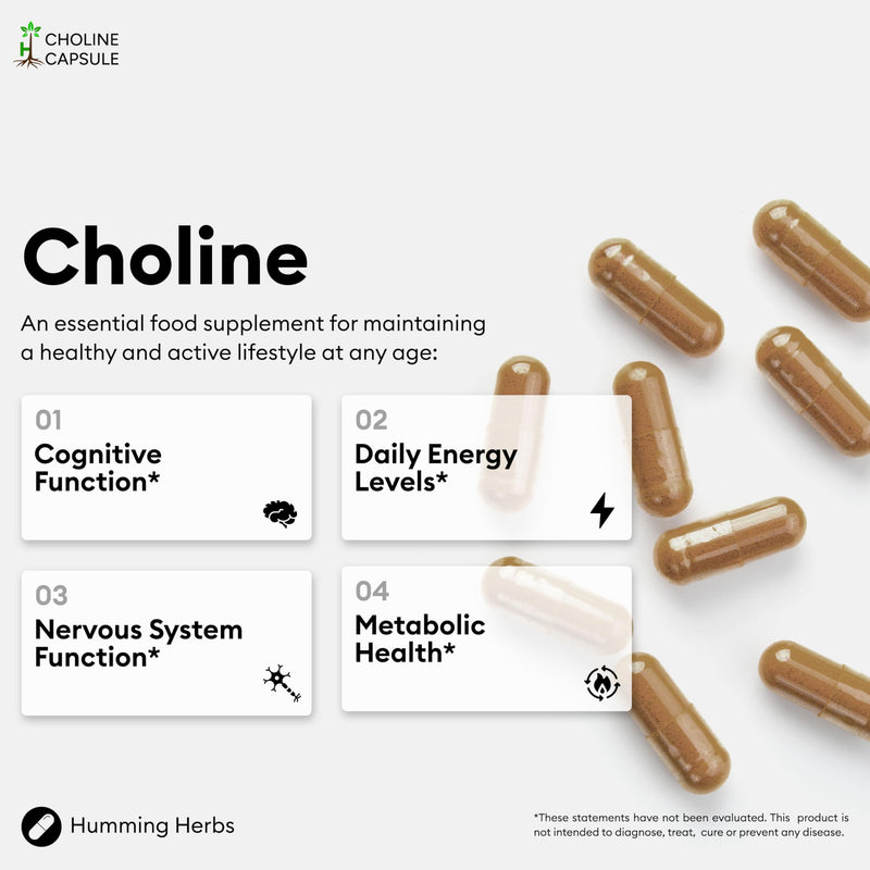 Humming Herbs Choline Complex 320mg Elemental from Alpha GPC & Citicoline | 120 Vegan Capsules | 60-Day Supply | Food Supplement