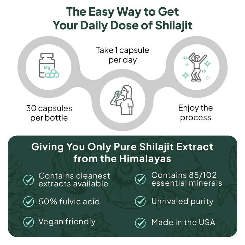 [Australia] - One-Per-Day Shilajit for Men and Women - Natural Shilajit Supplement for Age-Defying, Bone Strength, Hormone Support and More - 30 Shilajit Capsules 30 Count (Pack of 1) 