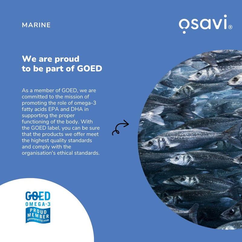 Osavi Norwegian Cod Liver Oil Kids – 250 ml | 500 mg Omega–3| Supports Brain Function, Vision, Heart Health, Immune System | Includes 135 µg Vitamin A | Lemon Flavour | Made in Norway