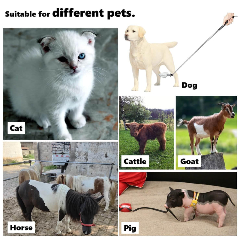 Dog Urine Sample Catcher，Telescopic Dog Pee Sample Collector，Pet Urine Stick for Small Large Female Dogs (Grayspoon&4bottles) Grayspoon&4bottles - PawsPlanet Australia