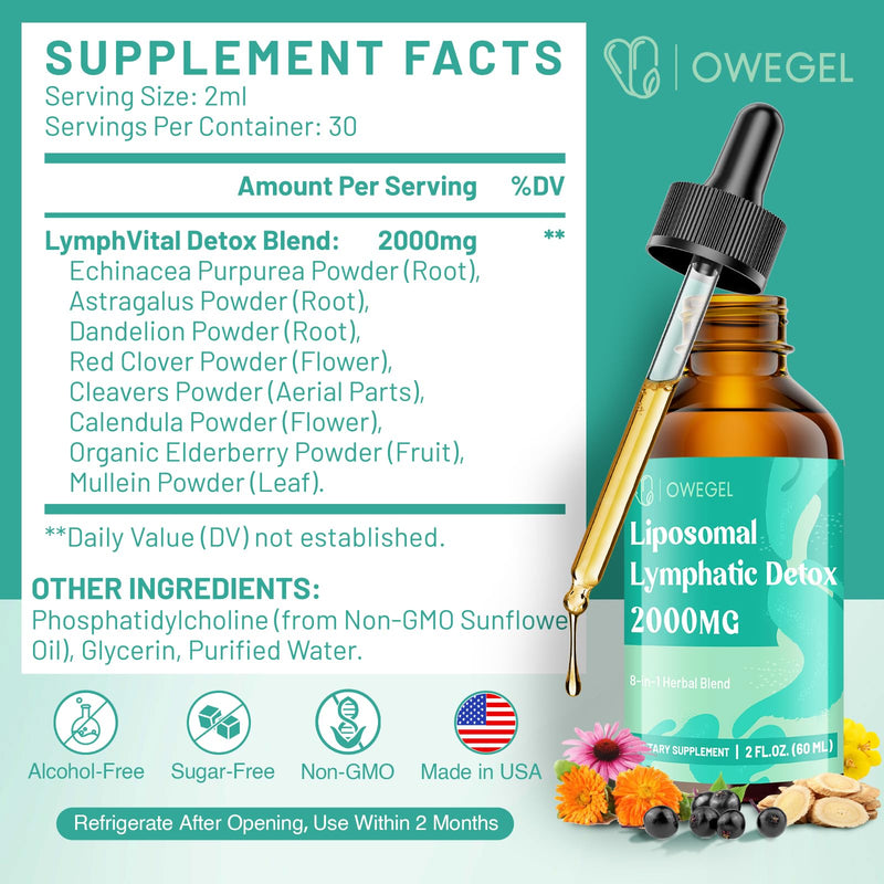 [Australia] - Liposomal Lymphatic Drainage Drops 2000mg ‚Äì Immune & Lymph System Support ‚Äì Lymphatic Detox and Cleanse with Echinacea, Red Clover, Dandelion & Cleavers ‚Äì Sugar-Free, Alcohol-Free ‚Äì 2 FL OZ 2 Fl Oz (Pack of 1) 