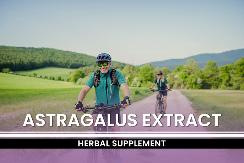 [Australia] - Pure Original Ingredients Astragalus (365 Capsules) No Magnesium Or Rice Fillers, Always Pure, Lab Verified 365 Count (Pack of 1) 