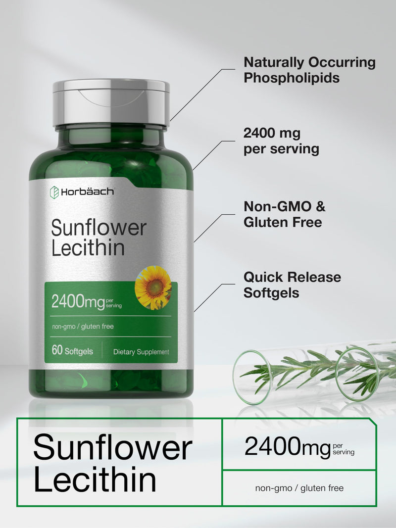 Horbäach Sunflower Lecithin 2400mg | 60 Softgel Capsules | Naturally Occurring Phospholipids | Non-GMO, Gluten Free Supplement |